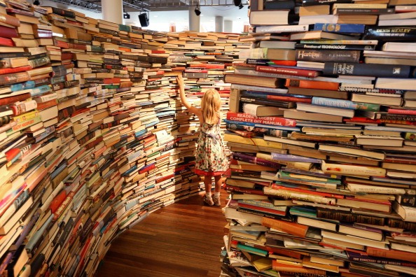 Brazilian Artists Create Labyrinth Using 250,000 Books