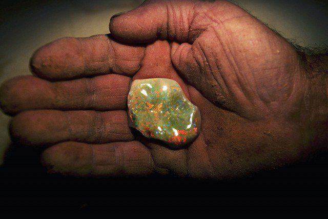 Opal is making a comeback