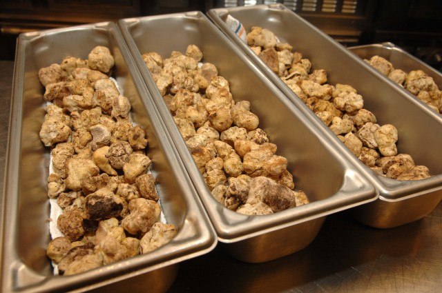 White Truffles