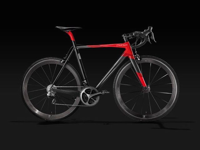 Audi Carbon Fiber Bike