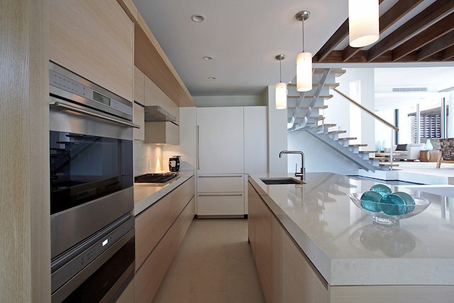 Ani Estate has a modern kitchen