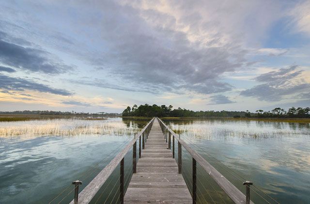 10,000 Acre South Carolina Manor Home backyard view