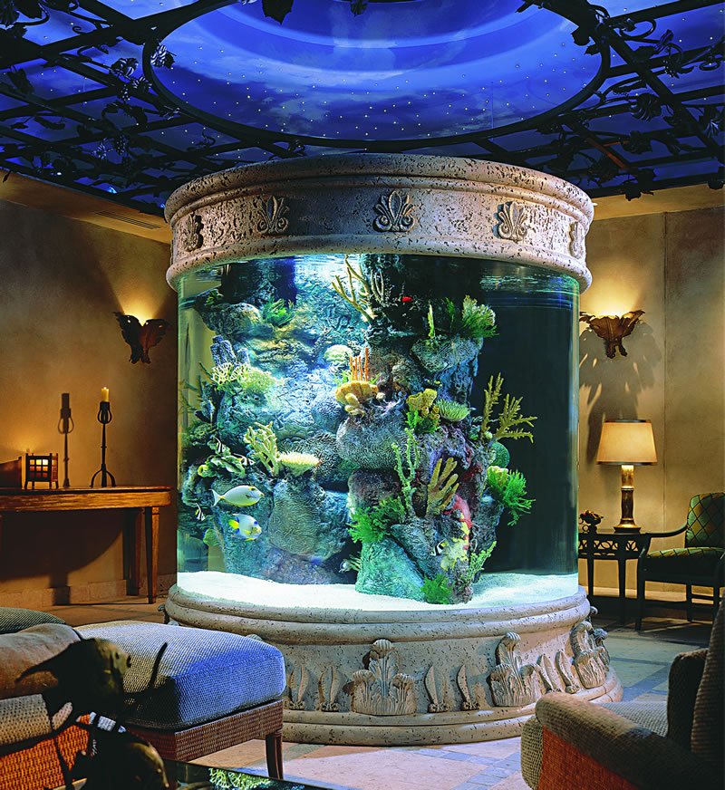 large column aquarium 