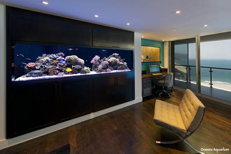 300 gallon acrylic custom living reef aquarium in-wall with custom cabinetry.