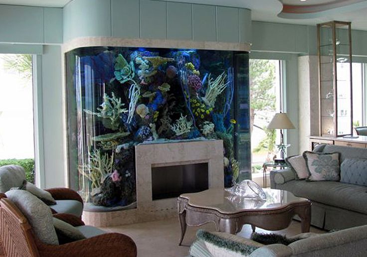 fish tank fire place