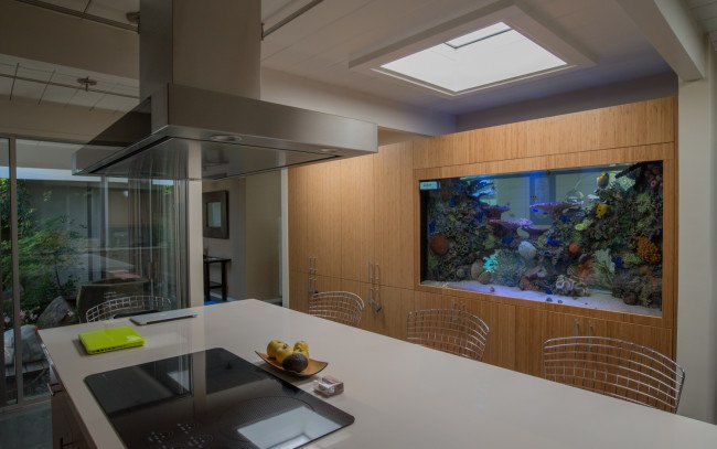 custom kitchen aquarium