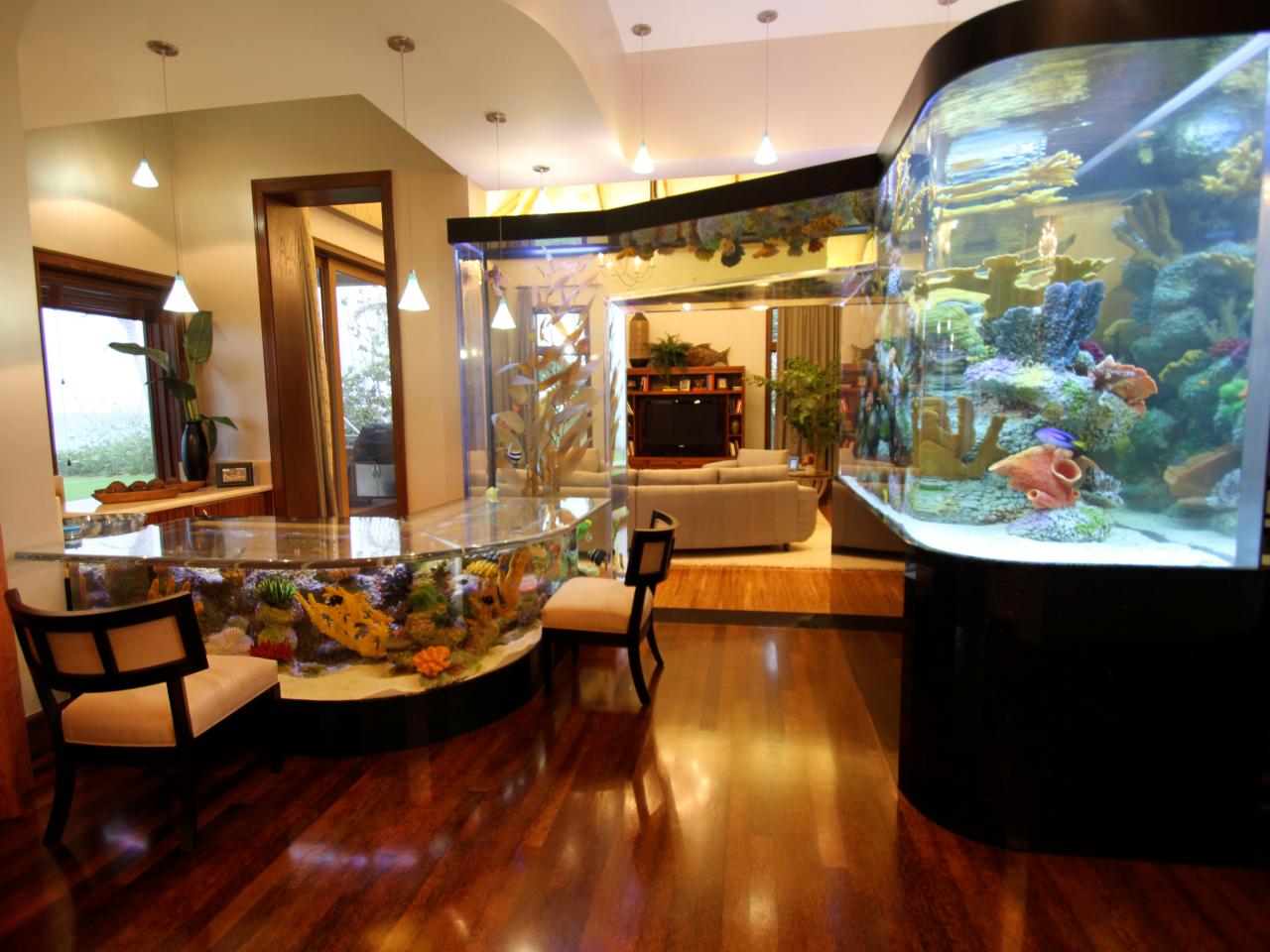 2 million dollar fish tank in kitchen