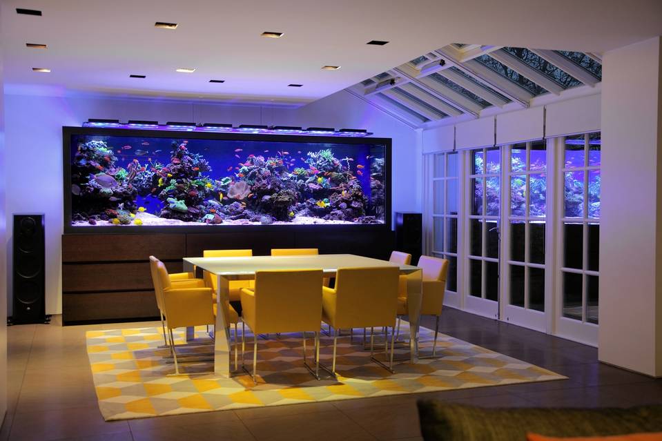 $1 million home aquarium