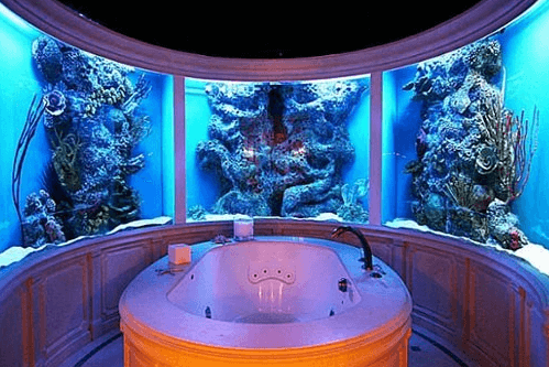 multi million dollar bathroom fish tank