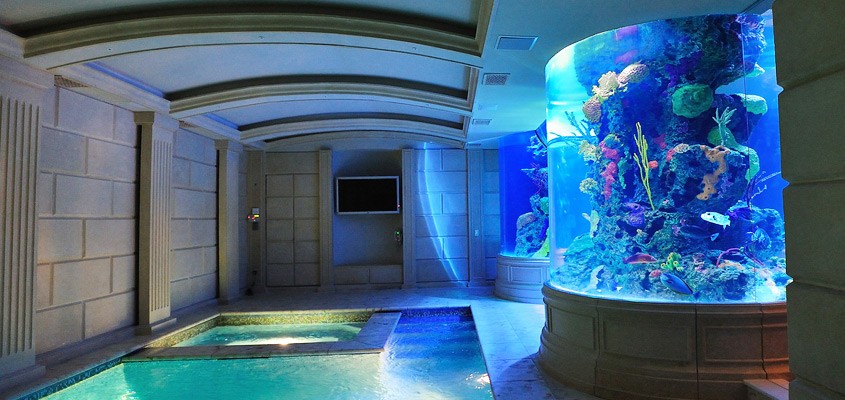 custom home aquarium