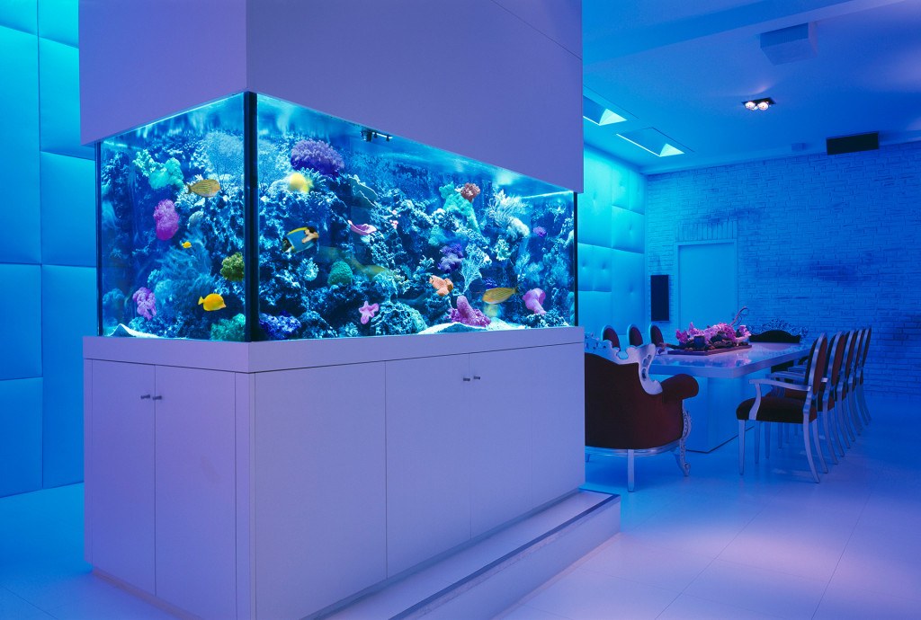 The 20 Most Lavish Home Aquariums In The World