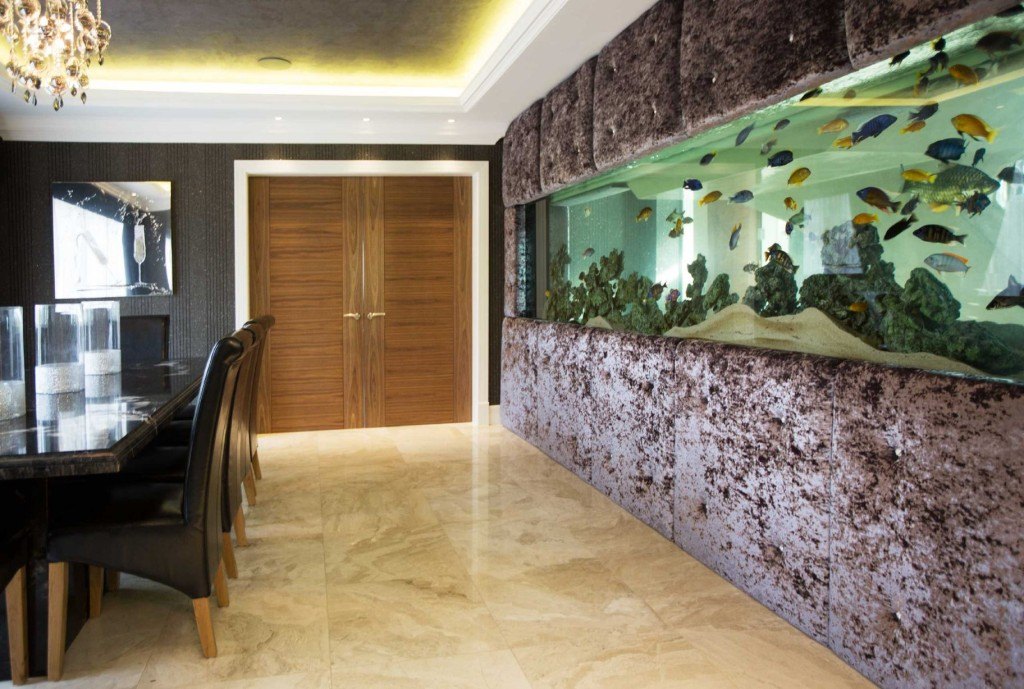 luxurious wall fish tank