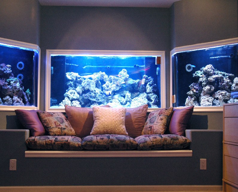 custom aquarium built in wall