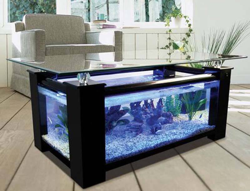 coffee table aquarium