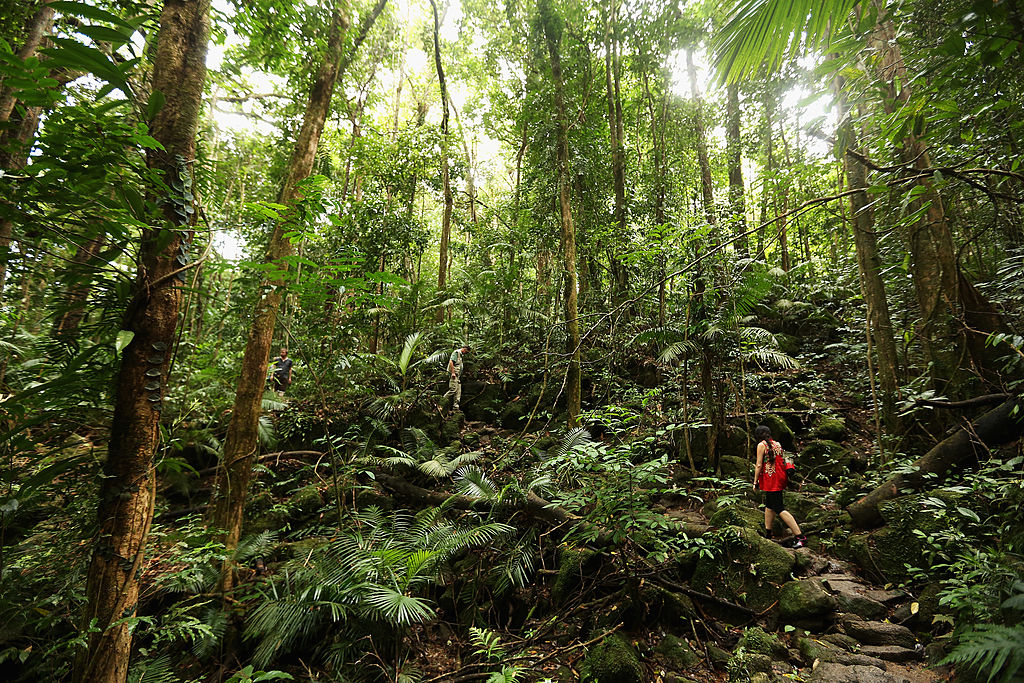 Scenes Of The Cairns Region