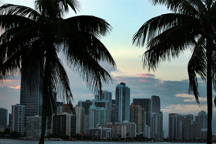 Miami Skyline