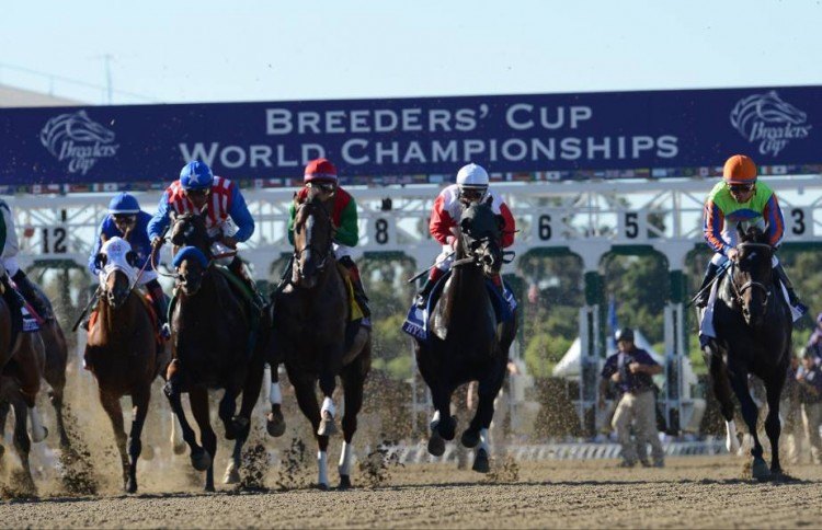 Breeders-Cup-Experiences-Santa-Anita-Racing-Dirt-Mile-03[1]