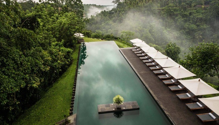 Spa Alila Rainforest Retreat 3