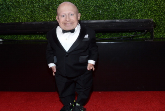 15 Shortest Hollywood Actors - Worthly