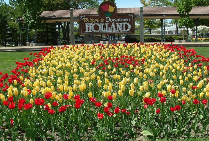 Attend The Tulip Time Festival In Holland, Michigan