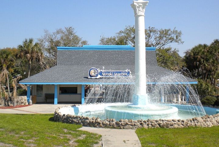 Mermaid Shows At Weeki Wachee
