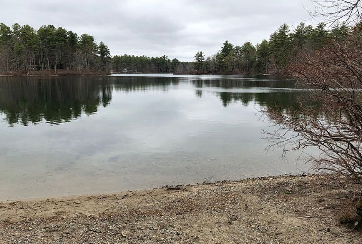 Ivanhoe Rowboat Rentals And Fishing Docks