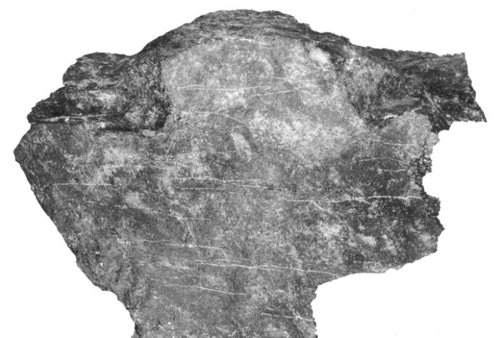 Georgia Hosts America's First Gold Rush