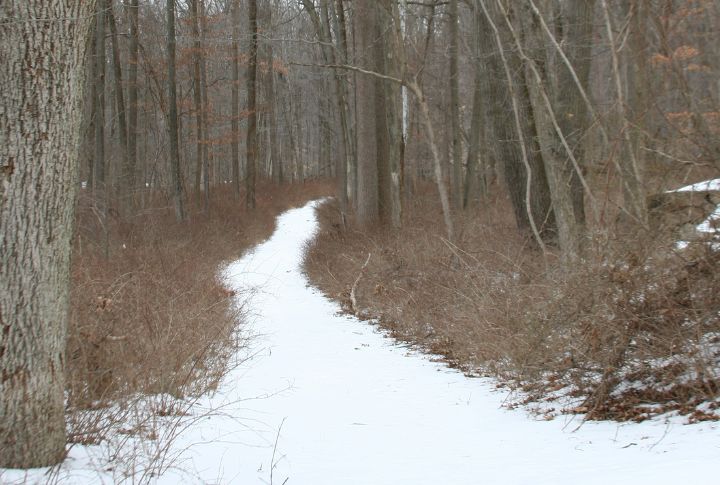 Doodletown, New York