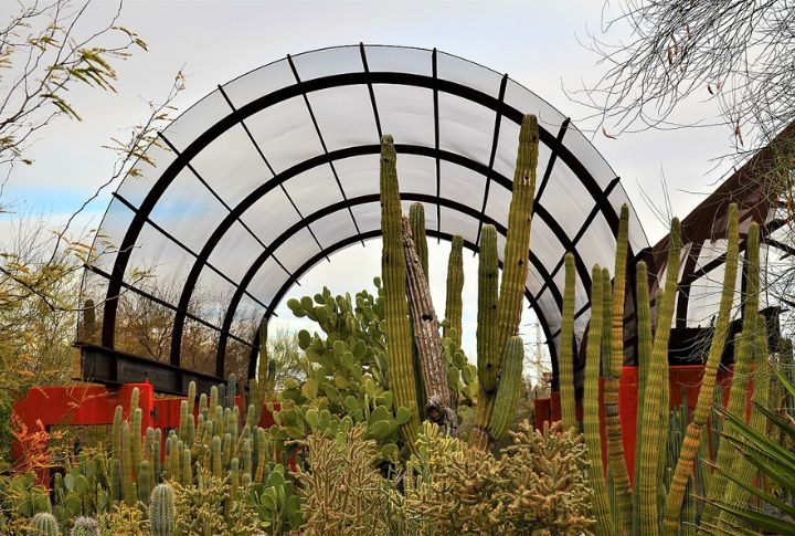 Visit The Desert Botanical Garden In Phoenix, Arizona