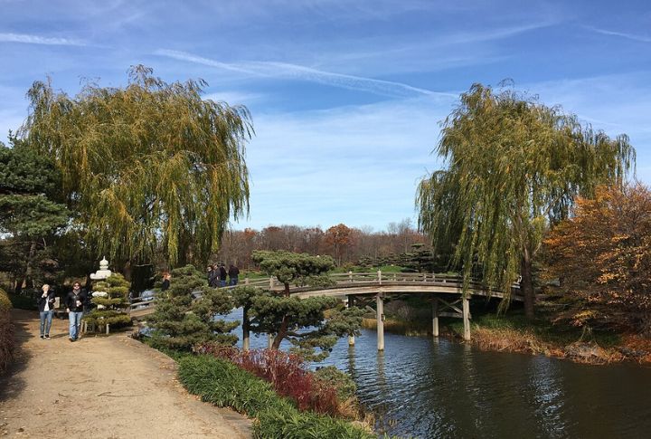 Explore The Chicago Botanic Garden