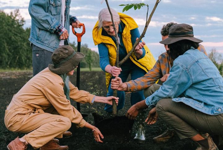 Volunteer In A Local Park Or Garden