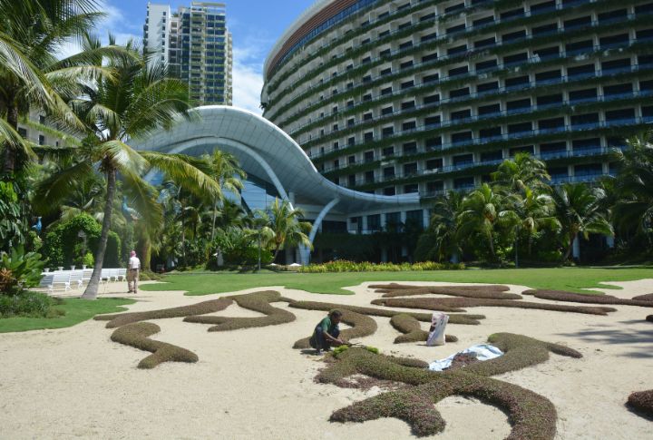 Malaysia's Forest City Failure