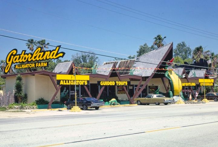 Gatorland’s Early Days Of Swamp Shows
