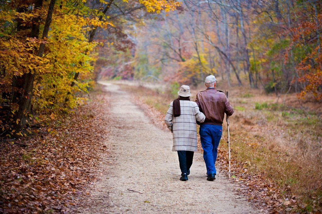 couple, elderly, walking, fall, trail, elderly couple, old couple, holding hands, path, autumn, trees, outdoors, nature, grandparents, couple, couple, couple, couple, couple, elderly, elderly couple, old couple, old couple, grandparents