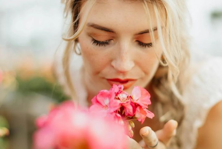 There Are Only Five Senses