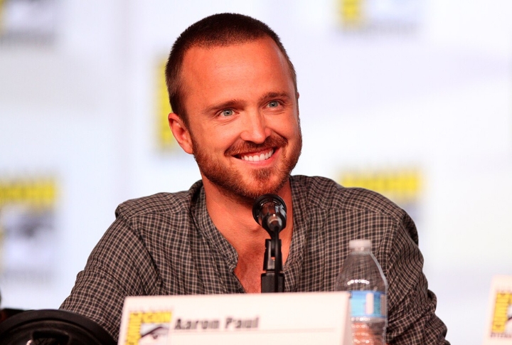 Aaron Paul: Idaho