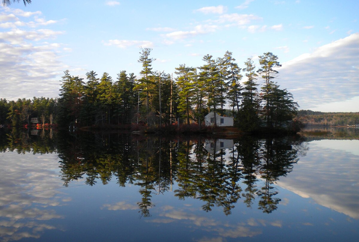 Springtime Black Flies Are No Joke