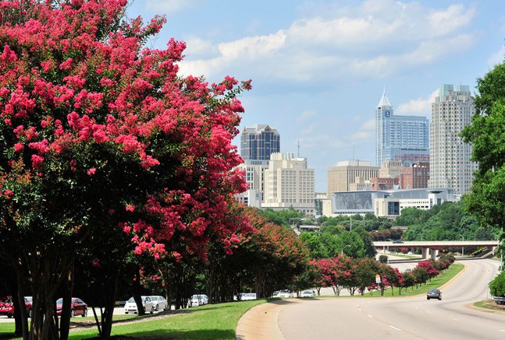 Raleigh: Career Opportunities And Affordability