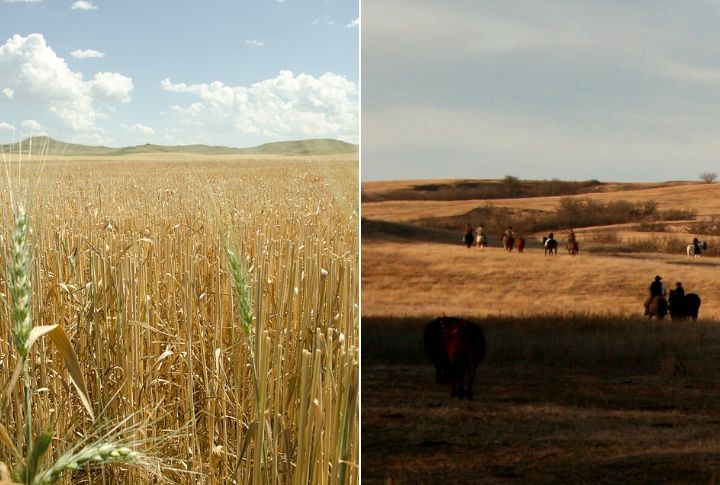 Different Economic Foundations Took Hold