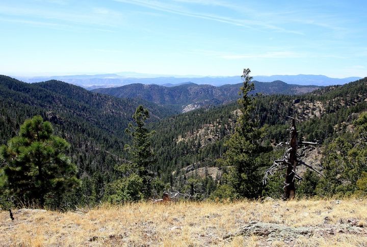 Gila Wilderness, New Mexico