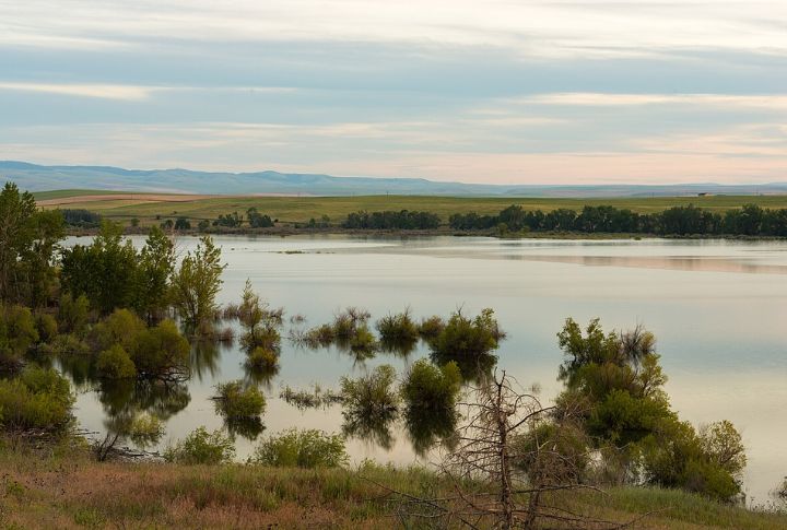 McKay Creek Refuge: Wildlife Views Minutes Away