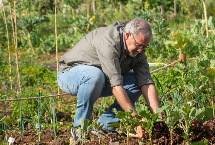 Cultivating Self-Reliance