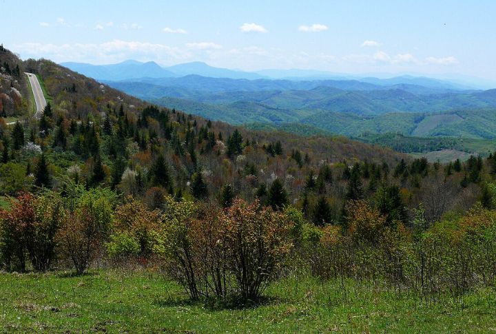 Grayson Highlands State Park, Virginia
