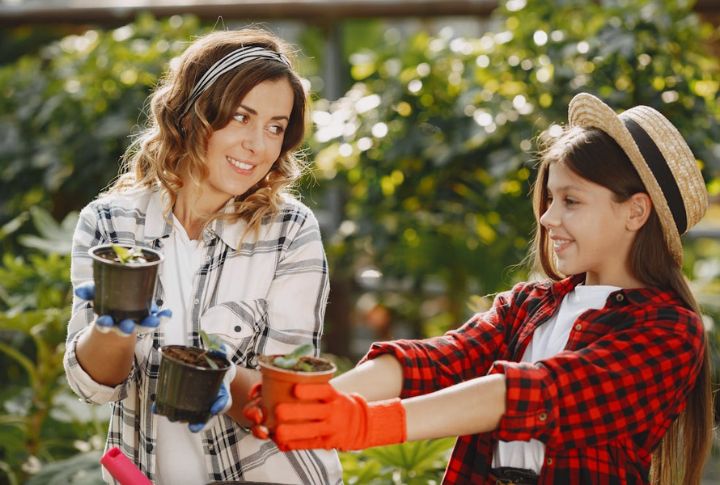 You Have Great Ideas