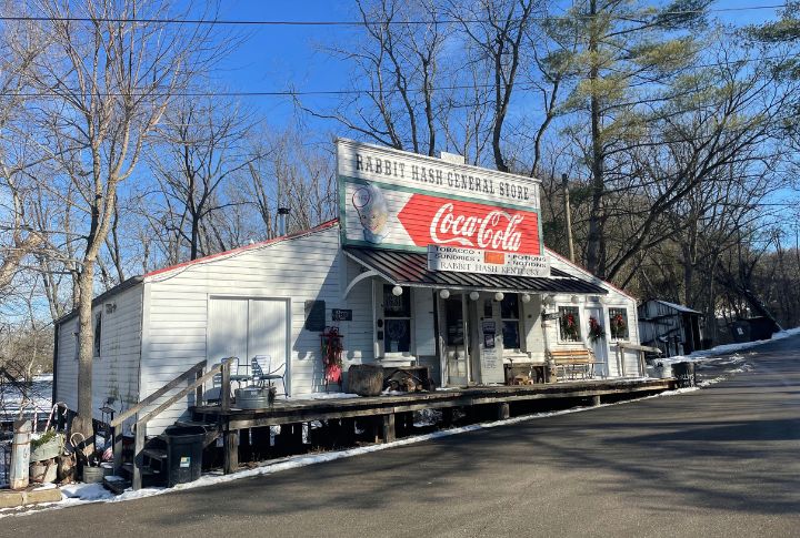 A Town Elected A Dog As Its Mayor