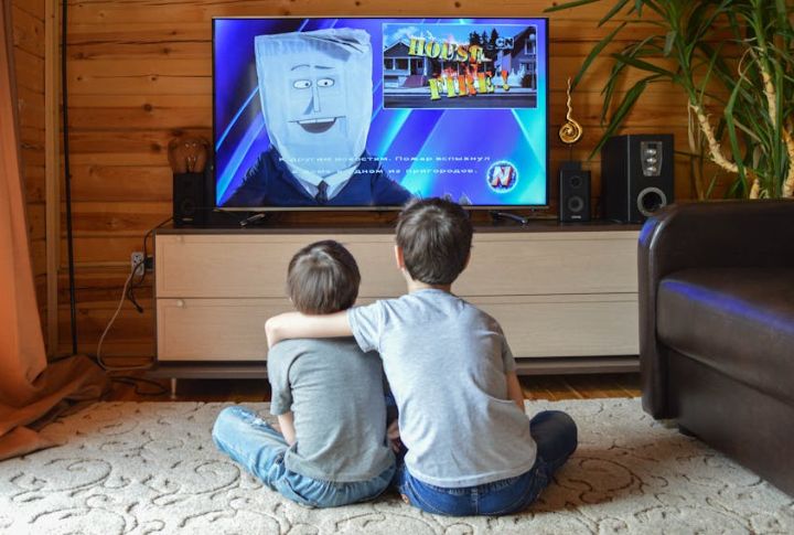 Cable TV Subscriptions