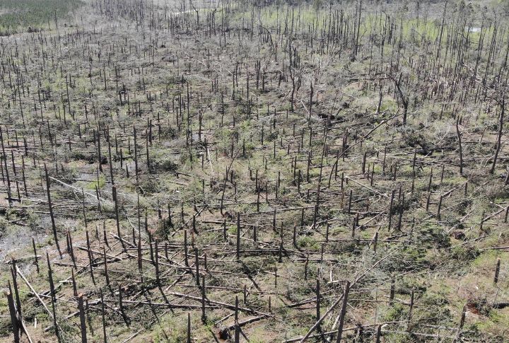 Columbia, South Carolina