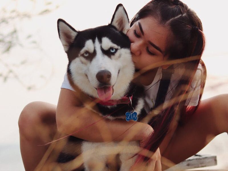 Young woman embraces her friendly Alaskan Malamute outdoors, showing affection and joy.