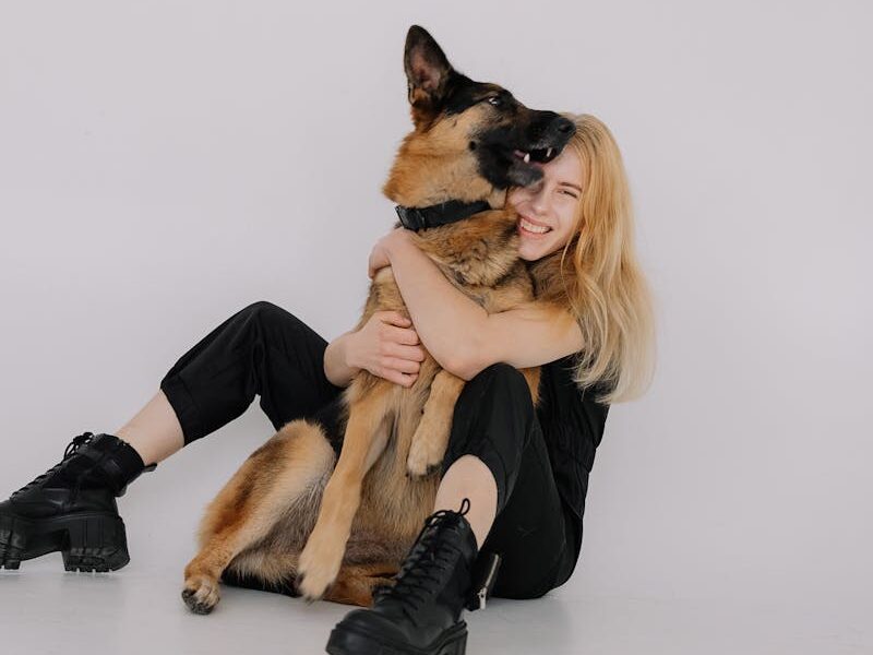 Happy blonde woman sitting and hugging her German Shepherd dog indoors on a minimalistic background.