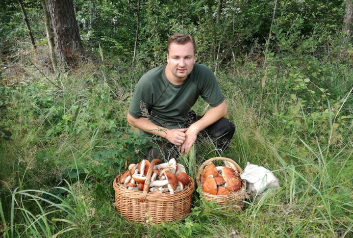 Identifying Edible Wild Plants